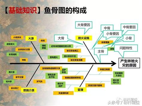 魚骨煞|风水中的魚骨煞若何化解 這些方式可選用